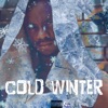 Cold Winter