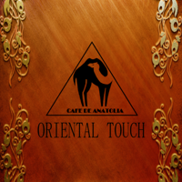 Various Artists - Oriental Touch artwork