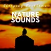 Nature Sounds: Sleeping Problems, Calm Your Mind, Peaceful Music for Stress Relief & Relaxation