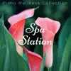 Spa Station - Prime Wellness Collection album lyrics, reviews, download