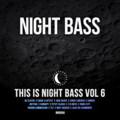 This is Night Bass, Vol. 6 artwork