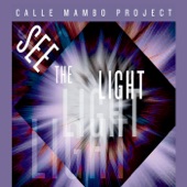 Calle Mambo Project - The Way You Move