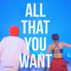 All That You Want - Single