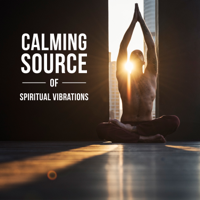 Core Power Yoga Universe & Namaste Healing Yoga - Calming Source of Spiritual Vibrations: Liquid Peace Meditation, Deep Consciousness, Yoga Revolution, Oriental Mindful Power artwork