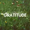 Gratitude: Well-Being Music, Gentle Background Music, Restful Balancing, Reiki, Personal Transformation album lyrics, reviews, download