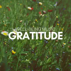 Gratitude: Well-Being Music, Gentle Background Music, Restful Balancing, Reiki, Personal Transformation by Shades of Wellness album reviews, ratings, credits