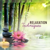 Relaxation Techniques - 30 Deeply Relaxing Tracks to Reduce Everyday Stress: Peace of Mind artwork