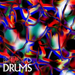 Drums by Spiritual Friendship, Nick Hook & Gareth Jones album reviews, ratings, credits