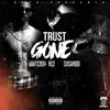 Trust Gone (feat. Whiteboy Rez) - Single album lyrics, reviews, download