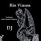 Dj (feat. John Driskell Hopkins) - Rin Vinson lyrics