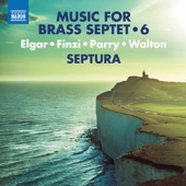 Serenade for Strings in E Minor, Op. 20 (Arr. M. Knight for Brass Septet): II. Larghetto artwork