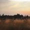 Black Fire - hayden casey lyrics