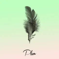 Shaolin - Single by PLÜM album reviews, ratings, credits