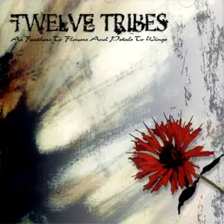 ladda ner album Twelve Tribes - As Feathers To Flowers And Petals To Wings