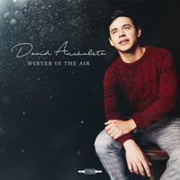 David Archuleta - Winter in the Air artwork
