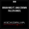 Fallen Angel (feat. Ania Crown) - Single