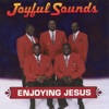 Enjoying Jesus