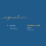 Calibre - Broken Wings (feat. DRS)