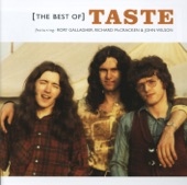 The Best of Taste artwork