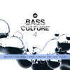 Only Us (Bass Culture 4) [feat. Asha] - Single
