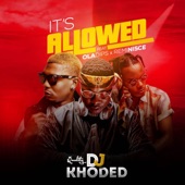 It's Allowed (feat. Reminisce & Oladips) artwork