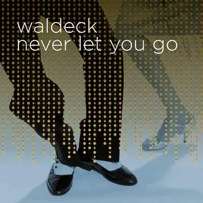 Never Let You Go (feat. Patrizia Ferrara) - Single - Waldeck