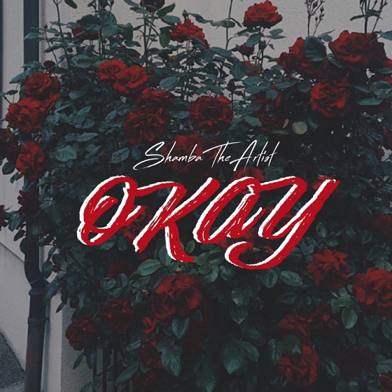 Cover artwork for Okay