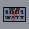 1001 Watt