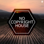 No Copyright House artwork