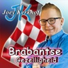 Brabantse Gezelligheid - Single