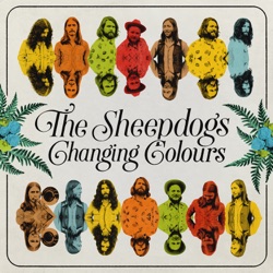The Sheepdogs - I've Got a Hole Where My Heart Should Be