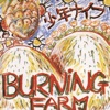 Burning Farm artwork
