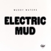 Muddy Waters - The Same Thing - 1968 Album Version