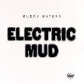 Electric Mud - Muddy Waters