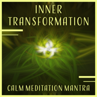 Tai Chi Spiritual Moments - Inner Transformation – Calm Meditation Mantra: Peaceful Music, Inspirational Moments, Soul Freedom, Questions & Answers artwork