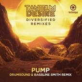 Pump (Drumsound & Bassline Smith Remix) artwork