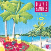 Dave Samuels - Coastal Comfort