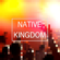 Reckless Love (Of God) - Native Kingdom