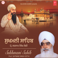 Prof. Satnaam Singh Sethi - Sukhmani Sahib artwork