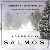Salmos, Vol. IV artwork
