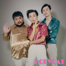 Polycat - ผู้ช่วยที่ดีที่สุด