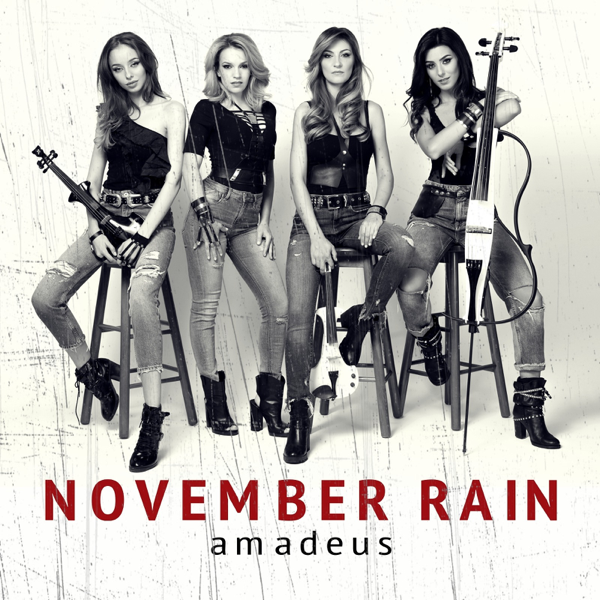 Лилия november rain фото