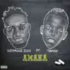 Amaka (feat. Tekno) - Single album lyrics, reviews, download