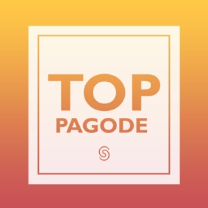 Top Pagode (Ao Vivo)