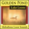Sunset Loons On Walden Pond - Pure Pianogonia lyrics