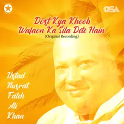 Dost Kya Khoob Wafaon Ka Sila Dete Hain - Single - Nusrat Fateh Ali Khan Dost Kya Khoob Wafaon Ka Sila Dete Hain - Single - Nusrat Fateh Ali Khan