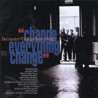 télécharger l'album Del Amitri - Change Everything