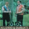 Nelsinho & Diamante