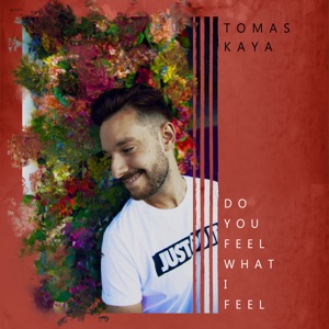 Tomas Kaya - Do You Feel What I Feel (feat. David Timothy) - Line Dance Choreographer