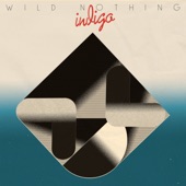 Wild Nothing - Canyon on Fire